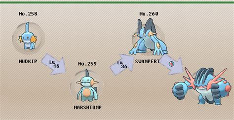 what level does swampert evolve.